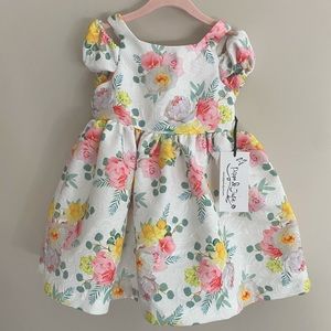 Pippa & Julie 2T little girl toddler floral poofy garden cold shoulder dress